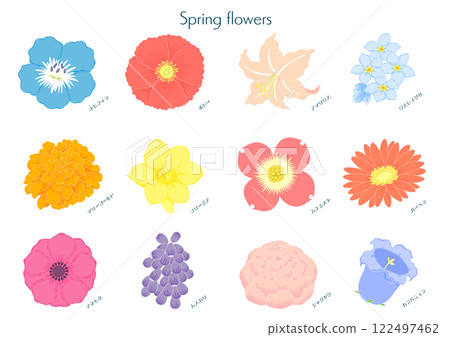 Spring flower illustration set Spring flower illustration set 122497462