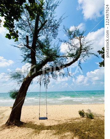 Tree on the beach with seascape background, sea, sand, sun and blue sky in summer 122497624