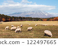 Mt. Iwate (grazing sheep) 122497665