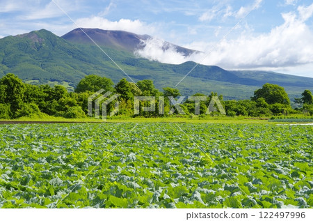 Mt. Asama in summer as seen from Sakudaira 122497996