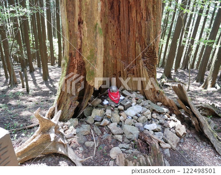 Jizo and the tree Jizo and the tree 122498501