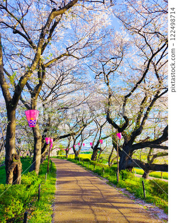Gyodo Shrine 122498714