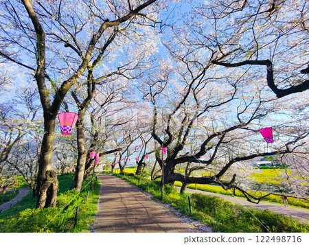 Gyodo Shrine 122498716
