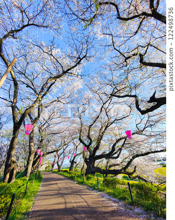 Gyodo Shrine 122498736