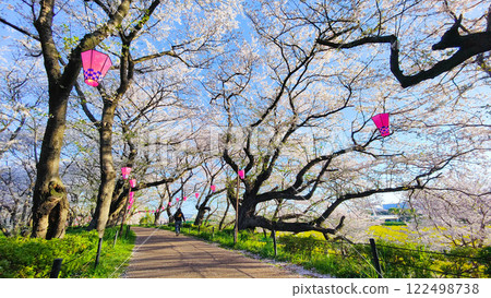 Gyodo Shrine 122498738