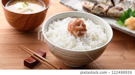 梅干飯 紀州南高梅（蜜梅） 122498939