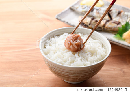 梅干飯 紀州南高梅（蜜梅） 122498945