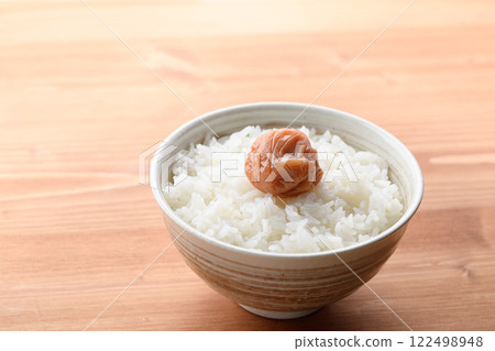 梅干飯 紀州南高梅（蜜梅） 122498948