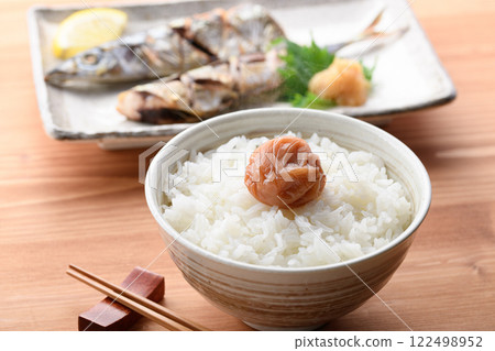 梅干飯 紀州南高梅（蜜梅） 122498952
