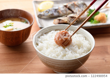 梅干飯 紀州南高梅（蜜梅） 122498954