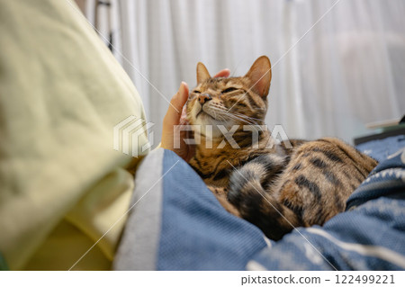 Woman stroking a cat 122499221