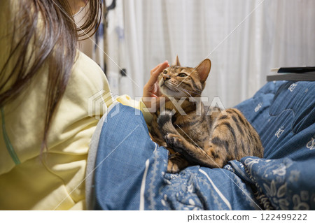 Woman stroking a cat 122499222