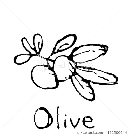 olive illustration olive illustration 122500644