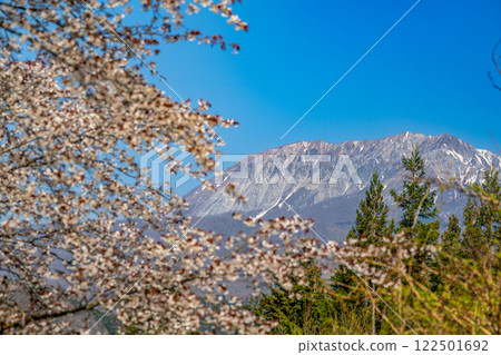 [Japan's 100 Famous Mountains] Spring in the Hiruzen Plateau: Yamazakura and Mt. Daisen 13, Maniwa City, Okayama Prefecture 122501692
