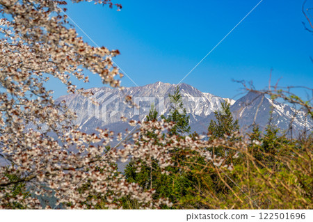 【日本百座名山】蒜山高原的春天：山櫻花與大山 岡山縣真庭市9 122501696
