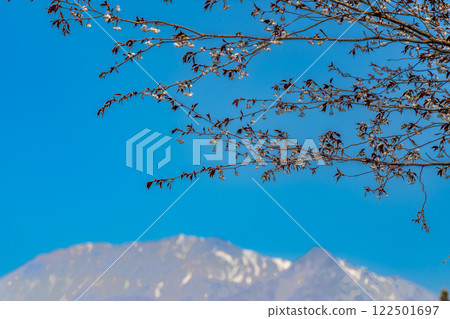 [Japan's 100 Famous Mountains] Spring in the Hiruzen Plateau: Yamazakura and Mt. Daisen 8, Maniwa City, Okayama Prefecture 122501697