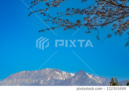 【日本百座名山】蒜山高原的春天：山櫻花與大山 岡山縣真庭市6 122501699