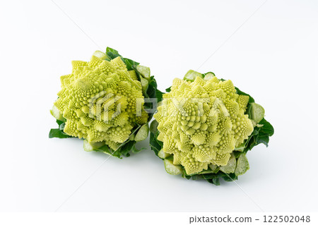 白色背景中的兩顆羅馬花椰菜 122502048