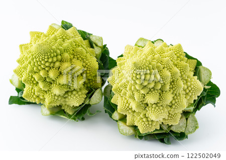 白色背景中的兩顆羅馬花椰菜 122502049