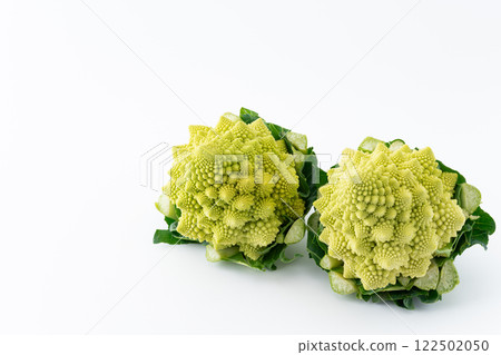 Two romanesco on a white background 122502050