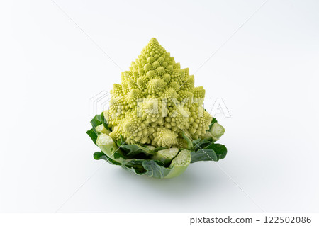白色背景的羅馬花椰菜 白色背景的羅馬花椰菜 122502086
