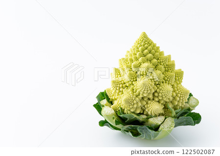 白色背景的羅馬花椰菜 白色背景的羅馬花椰菜 122502087