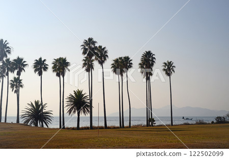 Shodoshima Tonosho Town Palm Tree Beach-1 122502099