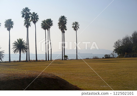 小豆島土莊町棕櫚樹海灘-3 122502101