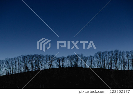 Silhouette of the forest Silhouette of the forest 122502177