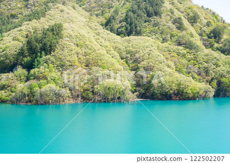 The beautiful emerald green of Lake Agatsuma at Yamba Dam 122502207