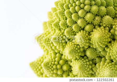 Romanesco buds close-up 122502261