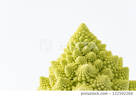 Romanesco buds close-up 122502268
