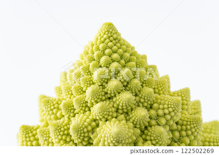 Romanesco buds close-up Romanesco buds close-up 122502269