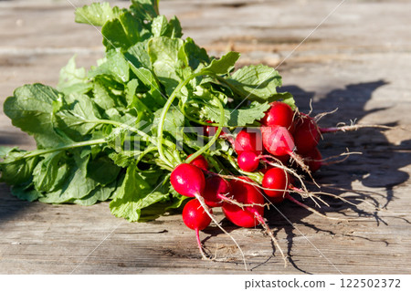 Fresh red radish with leaves on rustic wooden table 122502372