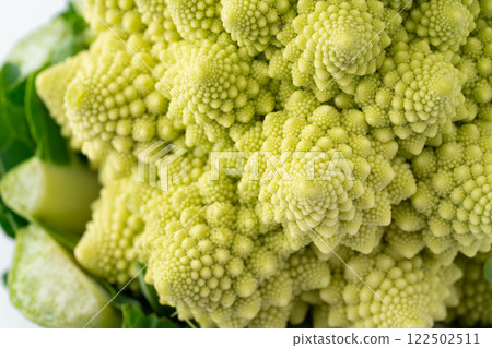 羅馬花椰菜花蕾特寫 122502511