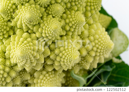 Romanesco buds close-up 122502512