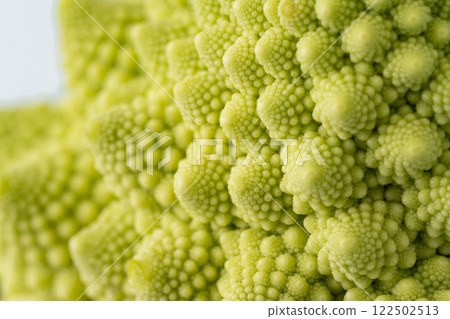 Romanesco buds close-up 122502513
