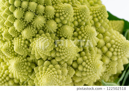 羅馬花椰菜花蕾特寫 羅馬花椰菜花蕾特寫 122502518