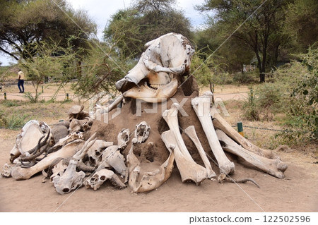 Tarangire National Park entrance monument 122502596