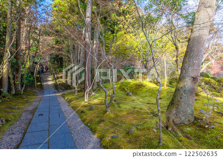 深秋的圓通院(宮城縣宮城郡松島町) 深秋的圓通院(宮城縣宮城郡松島町) 122502635