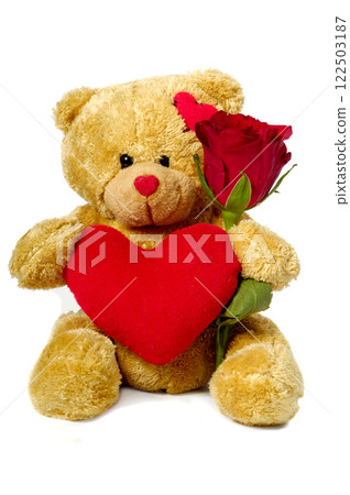 Teddy bear Teddy bear 122503187
