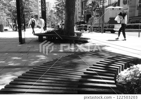 A sidewalk bench 122503203