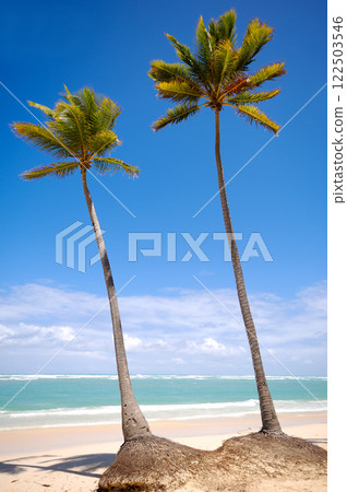 Exotic beach 122503546