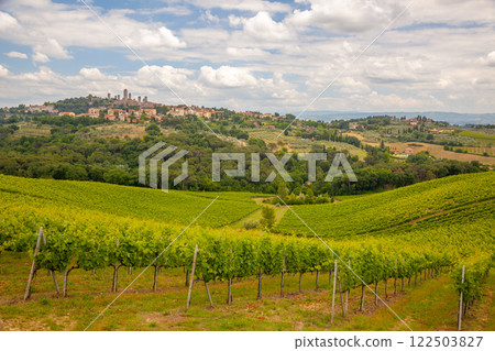 Vineyards near Montepulciano on a Sunny Summer Day 122503827