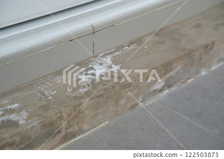 Fungus on the wall after the flood a brick wall with a white paint line 122503873