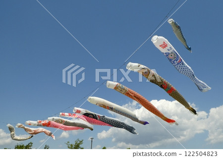 天空中飄揚的鯉魚旗 122504823