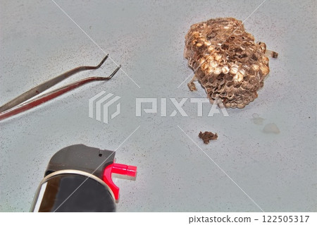 Wasp nest removed with insecticide Wasp nest removed with insecticide 122505317