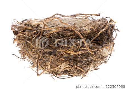 bird nest isolated bird nest isolated 122506060