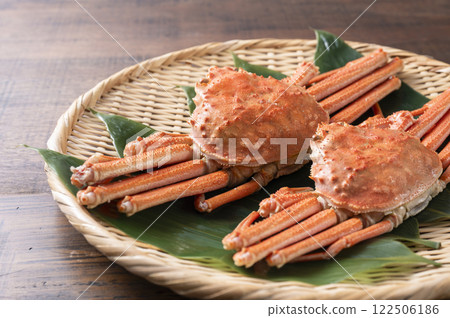 Snow crab Snow crab 122506186