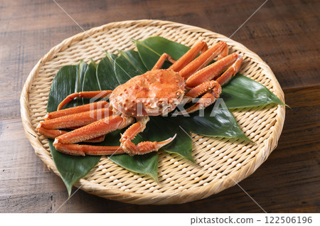 雪蟹 122506196
